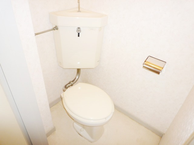 Ｌ・ＭＡＩＳＯＮ（エル・メゾン）のトイレ|別号室の参考写真です。