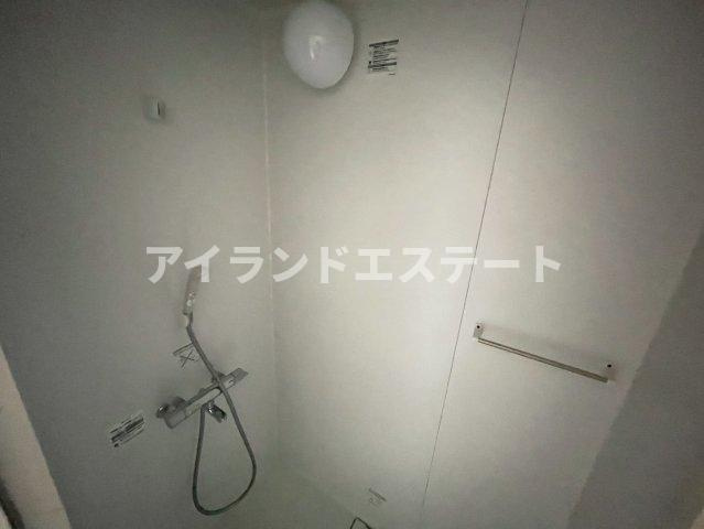 メゾン薗田　シャワールーム　独立洗面台　陽当たり良好のシャワールーム