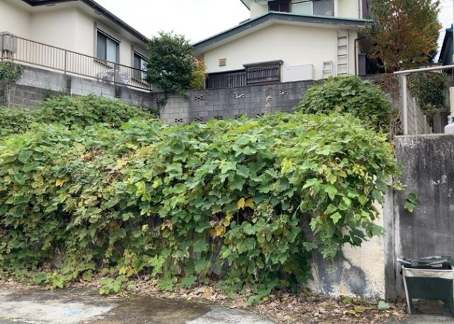 【前面道路含む現地写真】 | ハザードマップは自然災害による被害を予測し、その被害範囲を地図上で表したものです。近年特に災害が多くなっていますので、事前に調査すると安心できます。ハザードマップは国交省のホームページをご覧ください。