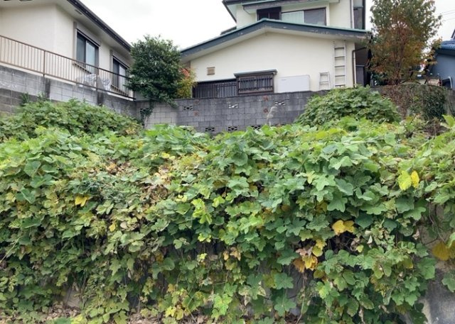 【外観】 | 現地に行くなら、物件の周囲の地形がどうなっているかを見ることも大切です。周辺より低くなっている土地では、大雨などで水が集まりやすいため、地盤が弱くなっているということも考えられるため、注意が必要です。