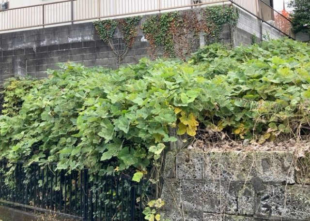 【外観】 | 隣家の土地はどうなっているのか、生活利便施設が近くにあるのか、学校まで近いかなど、お客様のライフスタイルにあわせたイメージが重要です。また、近くにあると困る施設が近くにないかも確認するといいでしょう。