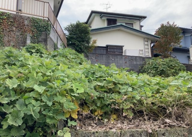 【外観】 | 土地購入を検討されている場合、境界杭がない状態で購入してしまうと境界確定測量をする必要があり、費用がかかります。購入の前に、売主、隣土地所有者立ち合いのもと境界を確定し境界杭を設置するのがベストです。