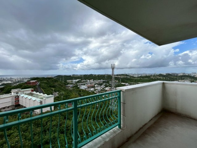  | パラッツォステラ