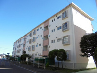 新桜ヶ丘団地3号棟の画像