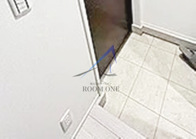 ソレイユ新大橋の玄関|玄関です。