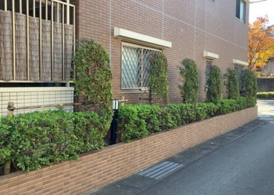 【庭】 | ミオカステーロ町田 | 物件によっては、入居者が個人的に使用できる専用庭がついているものもあります。また、住宅の中にある土間の部分を庭と呼ぶこともあります。庭の用途は住む人によって変わり、それによってデザインもさまざまです。