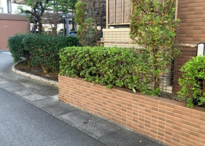 【中庭】 | ミオカステーロ町田 | 中庭（パティオ）とは、一つの建築物の内部に設けられた、壁などで囲われている庭のことを指します。コの字型、ロの字型が主流ですが、L字型の中庭もあります。最近では、インテリア性の高さからも人気があります。