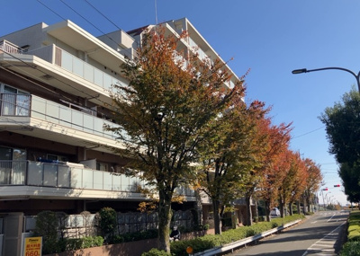 【外観】 | ミオカステーロ町田 | ＲＣ造、Reinforced Concreteは直訳すると補強されたコンクリートです。主に柱や梁・床・壁が鉄筋とコンクリートで構成おり、鉄筋を組んだ型枠にコンクリートを流し込んで固めたものを指します。