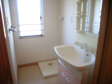 ラビアンローズの洗面所|脱衣スペースもあります