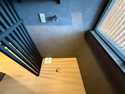 【洗面所】 | スイーティアソロ松原