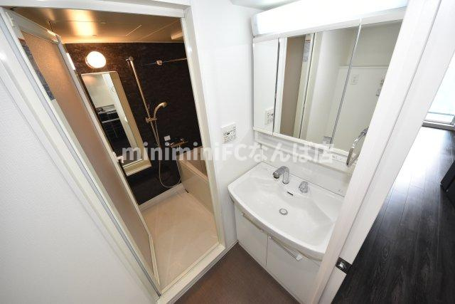 セイワパレス京町堀の洗面所