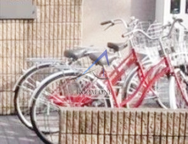 Ｅｖｅｒ　Ｇｒｅｅｎ　66