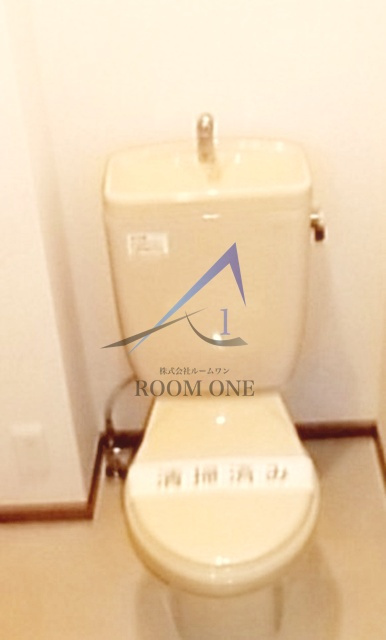 Ｅｖｅｒ　Ｇｒｅｅｎ　66のトイレ|トイレです。