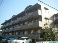 ルミエールの画像