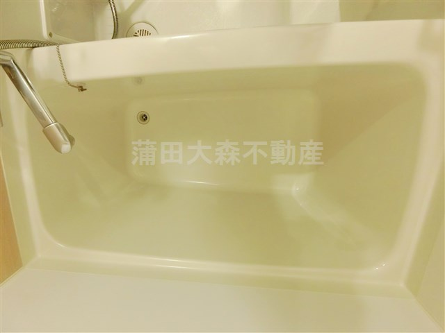 レジディア蒲田Ⅴの浴室