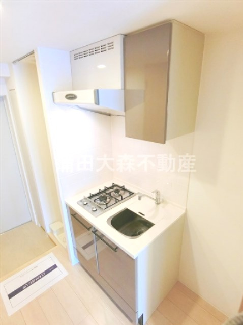 レジディア蒲田Ⅴのキッチン|2口ガスシステムキッチン