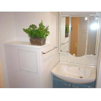 菱和パレス日本橋浜町の内装|きれいな内装です