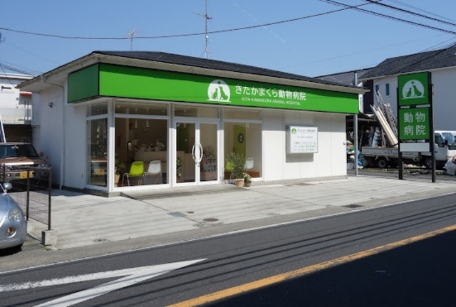 山崎戸建のその他|きたかまくら動物病院