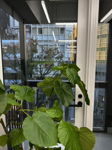 ＲｅＲａｉＭａレライマ渋谷道玄坂のロビー