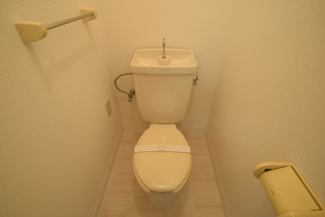 ロイヤルコート　壱番館のトイレ|落ち着いたトイレです