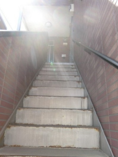 特典：仲介手数料が半額です!!のその他共用部分