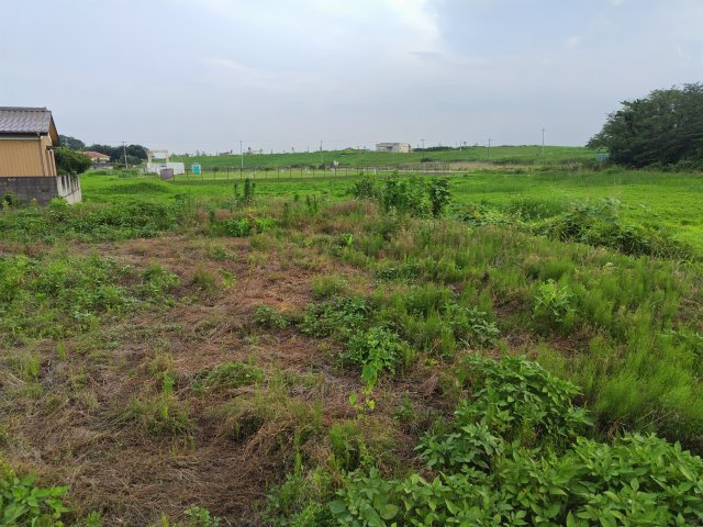 〈調整区域〉約127坪。農地としてのご利用をご検討くださいの外観|敷地内