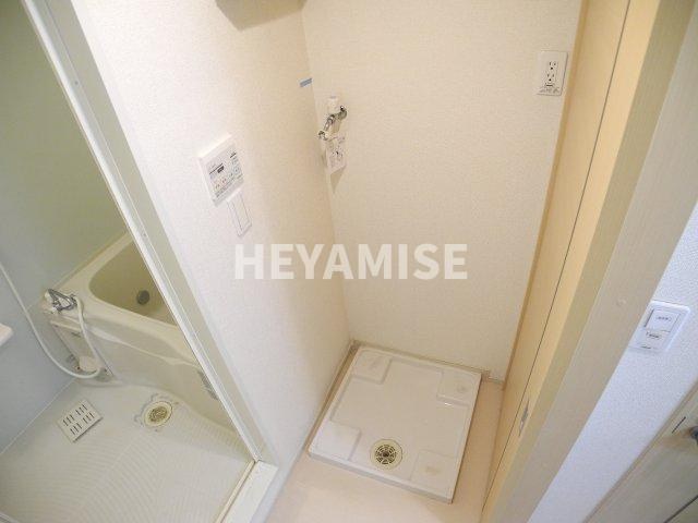 ライラックのその他