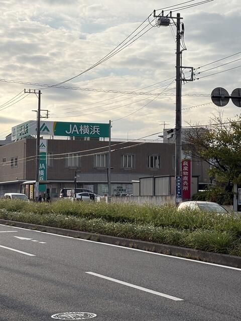 橋本ビルの周辺