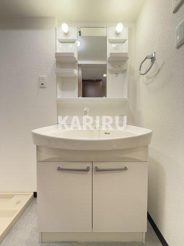 グランルージュ城東の洗面所