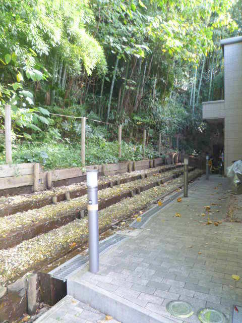 上野毛森の家のエントランス|エントランスアプローチ