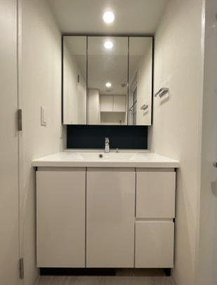 Ｂｒｉｌｌｉａ ｉｓｔ 文京六義園の独立洗面台