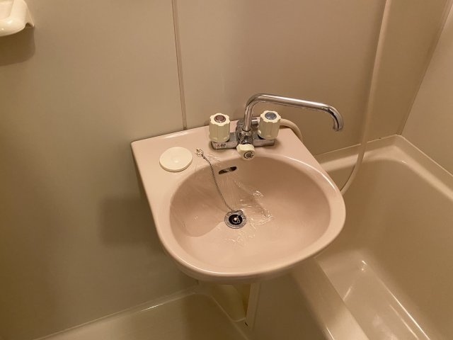 ヴィーブル三国ヶ丘の洗面所