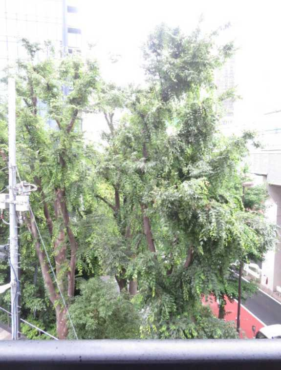 グランド・ガーラ渋谷　分譲賃貸　オートロック　浴室乾燥の展望