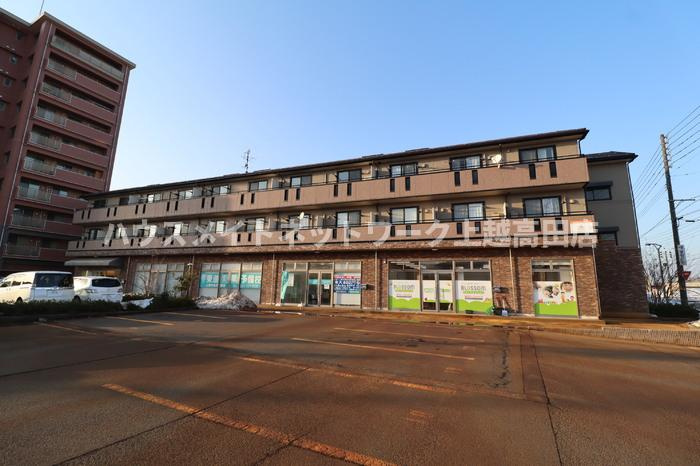 ロイヤルパレス春日山の外観|外観