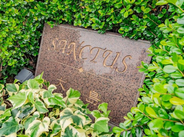 サンクタス大島のエントランス