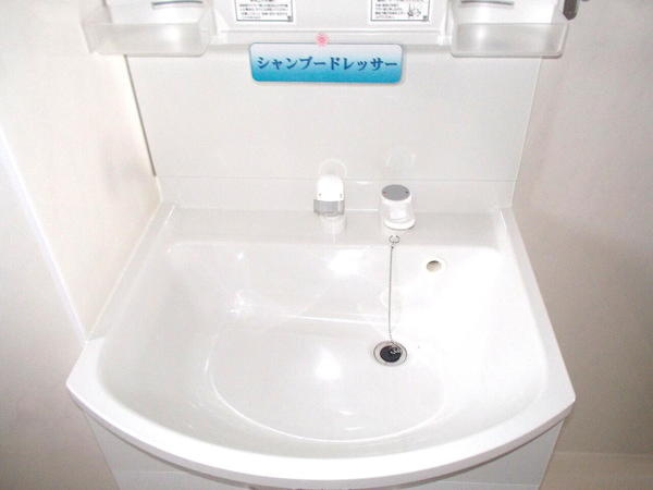 リバーサイド清音Ⅱの洗面所