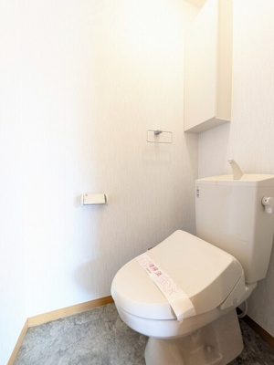 洗浄機能付きです