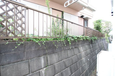 １階室内から撮影