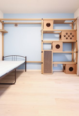 わんにゃんハウス国分寺の洋室|なんとキャットタワー付きのお部屋もあります。