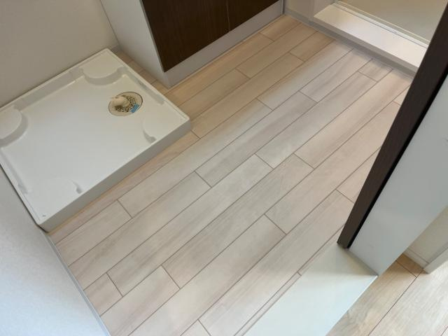 アルデバラン３４８の洗面所|脱衣所