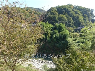 ガーデン　オランジェの展望|募集のお部屋（205号室）からの眺望です！