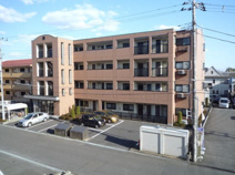 セレッソ・レガーロの画像