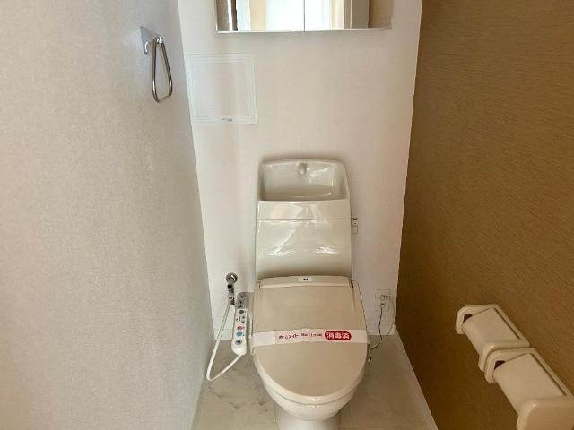 メゾン　グレイスのトイレ|トイレ