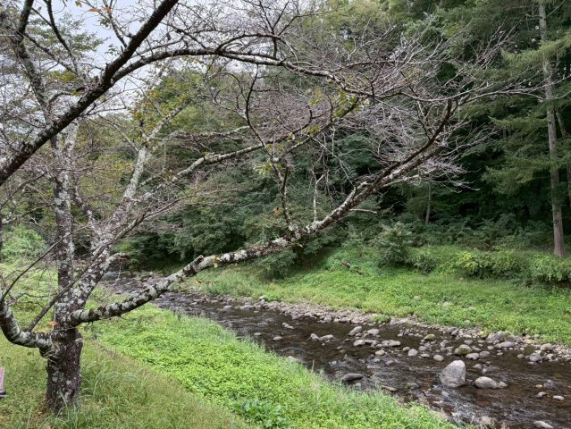 【その他】 | 三峰貸ビル