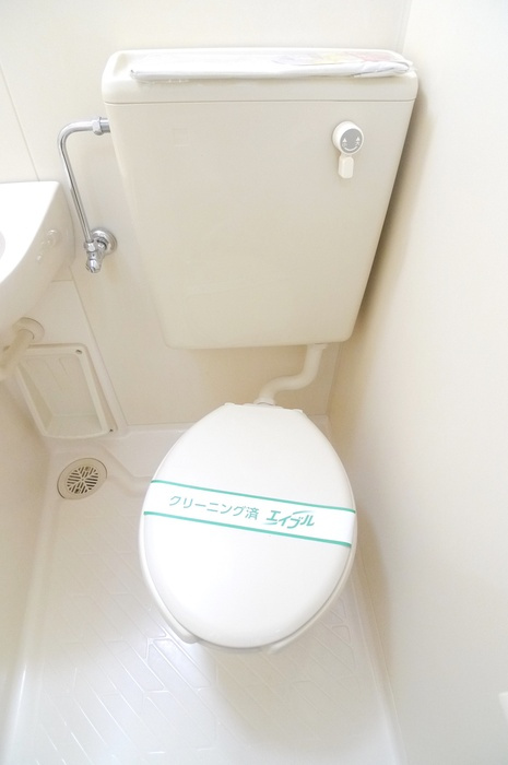 落ち着いた色調のトイレです