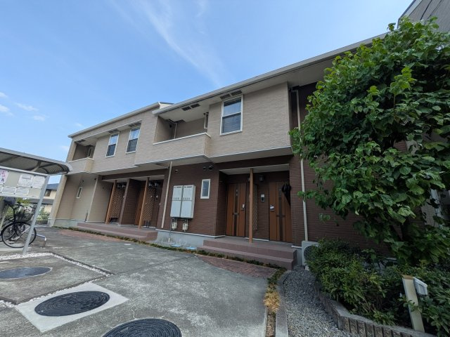 サンシャインオールウェイズB