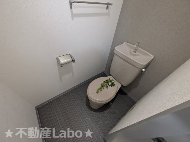 ラフォーレⅠ 603のトイレ