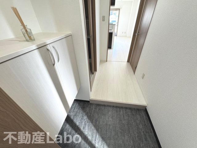 徳島市沖浜東２丁目の賃貸マンションの玄関