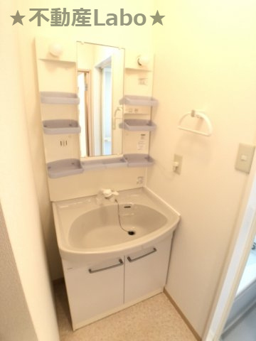 ロイヤルコートB棟　B1の洗面所