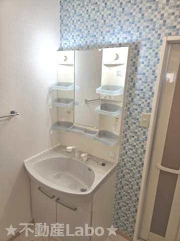 ロイヤルコート A102の洗面所